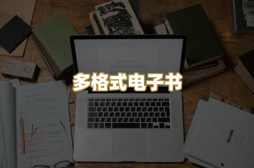 多格式电子书